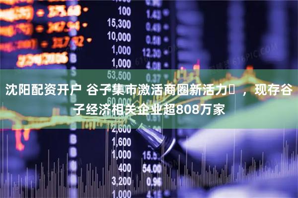 沈阳配资开户 谷子集市激活商圈新活力,现存谷子经济相关企业超808万家